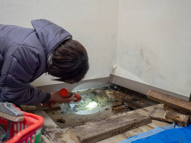 Best Real Estate Mold Inspection  in Canyon Day, AZ