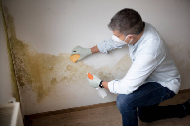 Best Biohazard Mold Removal  in Canyon Day, AZ