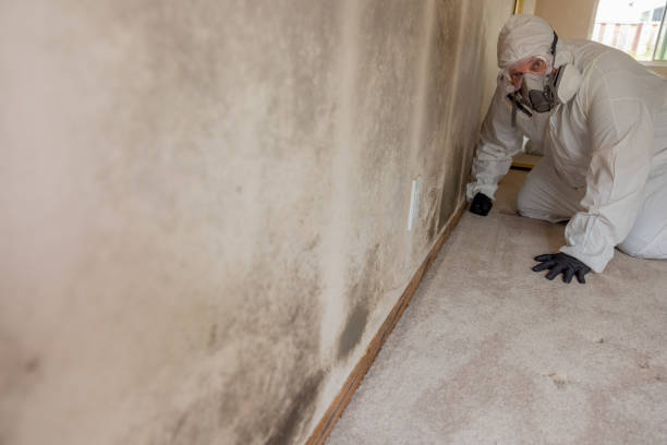 Best Industrial Mold Remediation  in Canyon Day, AZ