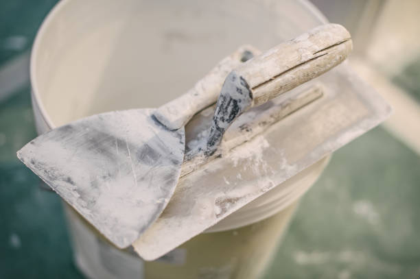 Best Mold Remediation for Rental Properties  in Canyon Day, AZ